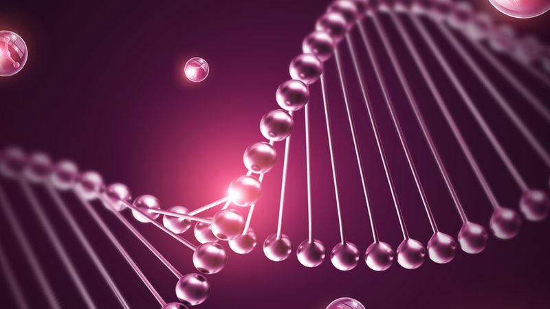 CRo优化工具：揭秘高效药物研发的秘密武器