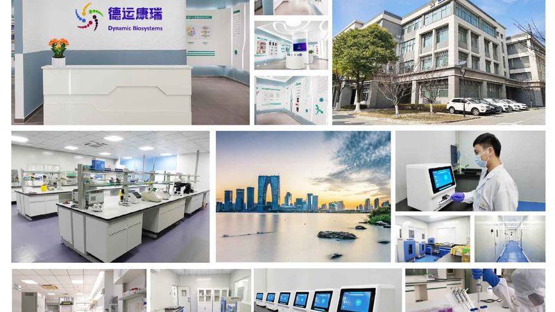 PCR检测流程：不同方法的步骤解析与对比