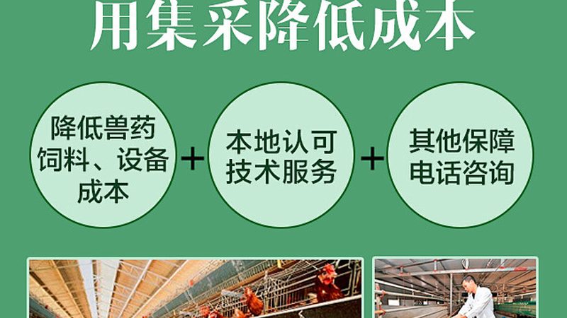 CDMO客户群分类：揭秘医药研发背后的合作伙伴