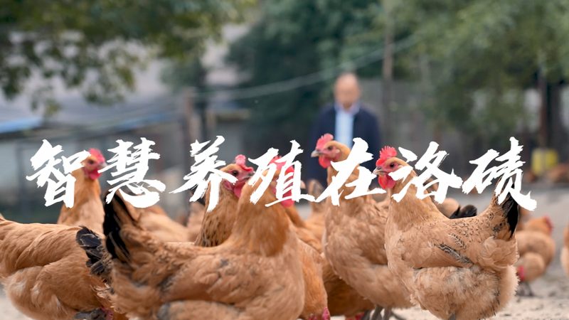 逆转录试剂盒实验步骤解析：关键环节与注意事项