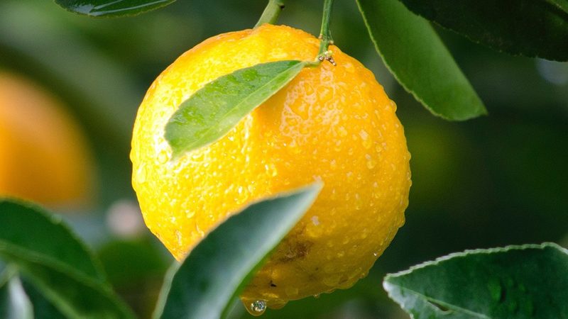 生物科技：解码生命科学的未来引擎**