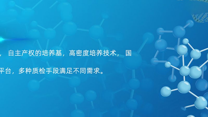 重组蛋白生物制品稳定性：如何确保其安全有效？**