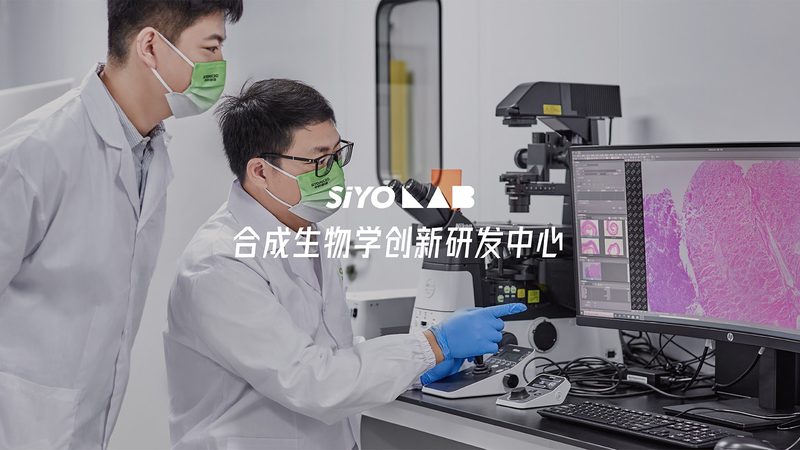 无血清细胞培养：揭秘关键步骤与注意事项**