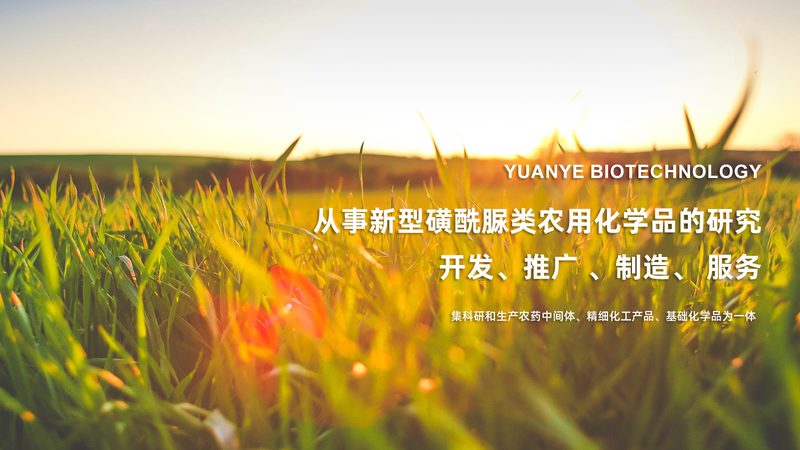 CRS优化参数设置：揭秘CRO高效运行的秘诀